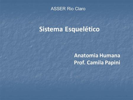 Sistema Esquelético Anatomia Humana Prof. Camila Papini