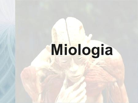 Miologia.