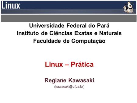 Universidade Federal do Pará Instituto de Ciências Exatas e Naturais Faculdade de Computação Linux – Prática Regiane Kawasaki
