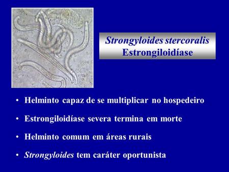 Strongyloides stercoralis Estrongiloidíase