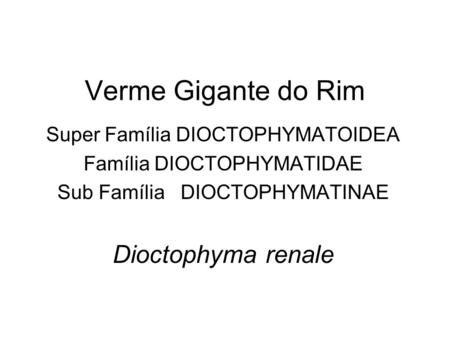 Verme Gigante do Rim Dioctophyma renale