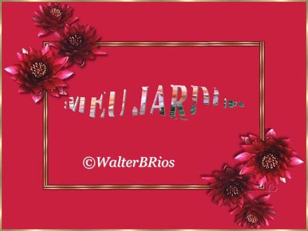 ©WalterBRios ©WalterBRios Tinham rosas, dálias e margaridas, Os carinhos de minha mãe, Lírios, copos-de-leite e rosas pálidas... Parecíamos passarinhos.