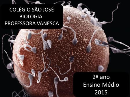 COLÉGIO SÃO JOSÉ BIOLOGIA- PROFESSORA VANESCA 2º ano Ensino Médio 2015.