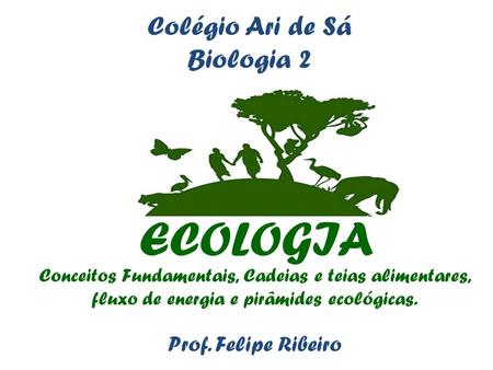ECOLOGIA Colégio Ari de Sá Biologia 2 Prof. Felipe Ribeiro