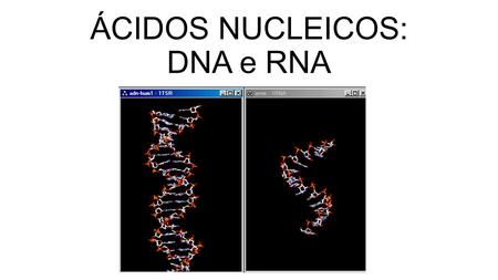 ÁCIDOS NUCLEICOS: DNA e RNA