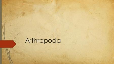 Arthropoda. INTRODUÇÃO DOS ARTHROPODAS  Os artrópodes possuem corpo segmentado (corpo metamerizado), apêndices articulado (patas, antenas e palpos etc.)