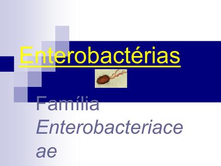 Família Enterobacteriaceae