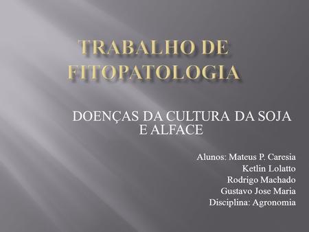 TRABALHO DE FITOPATOLOGIA