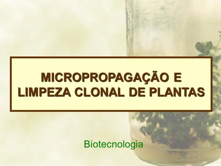 MICROPROPAGAÇÃO E LIMPEZA CLONAL DE PLANTAS