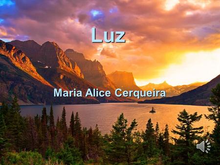 Luz Maria Alice Cerqueira.
