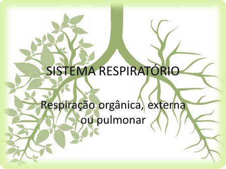Respiração orgânica, externa ou pulmonar