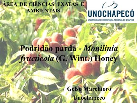 Podridão parda - Monilinia fructicola (G. Wint.) Honey