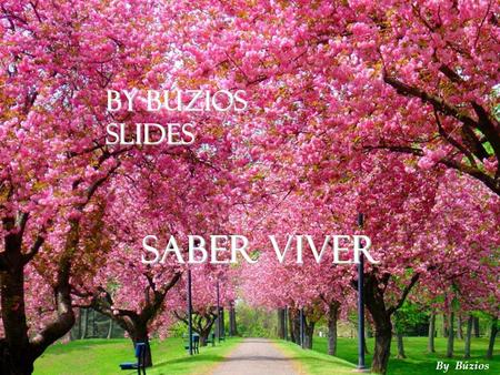 By Búzios Slides Saber Viver By Búzios 1.