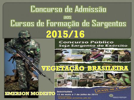 2015/16 VEGETAÇÃO BRASILEIRA EMERSON MODESTO.