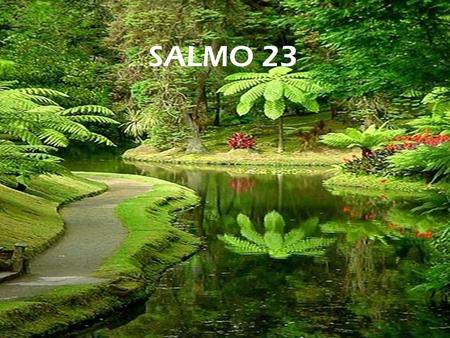 SALMO 23.