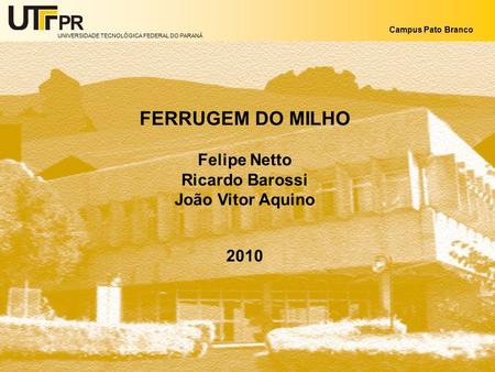 FERRUGEM DO MILHO Felipe Netto Ricardo Barossi João Vitor Aquino 2010.