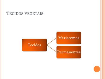 Tecidos vegetais Tecidos Meristemas Permanentes.