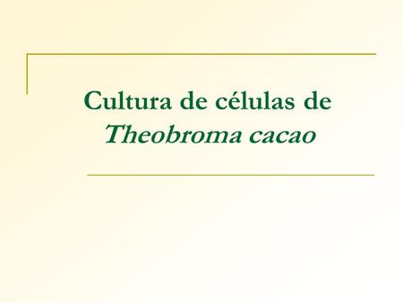 Cultura de células de Theobroma cacao