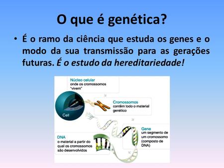 O que é genética? É o ramo da ciência que estuda os genes e o modo da sua transmissão para as gerações futuras. É o estudo da hereditariedade!