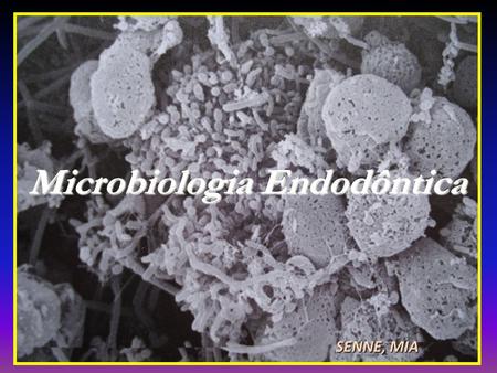 Microbiologia Endodôntica