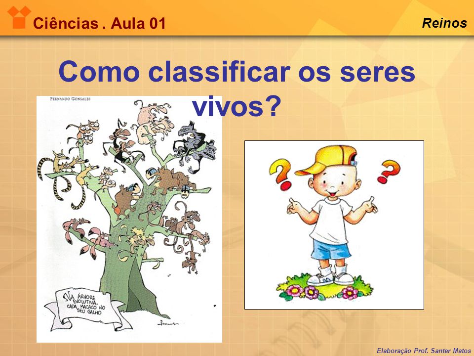 Portal del Profesor - Seres vivos - Classificar para que?