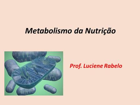 Metabolismo da Nutrição