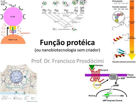 Função protéica (ou nanobiotecnologia sem criador)