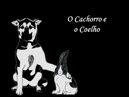 O Cachorro e o Coelho.