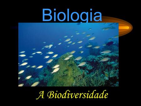 Biologia A Biodiversidade.