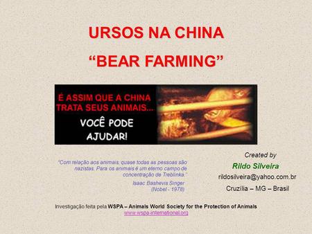 URSOS NA CHINA “BEAR FARMING”