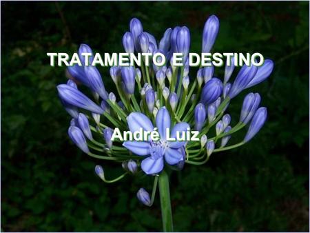 TRATAMENTO E DESTINO André Luiz.