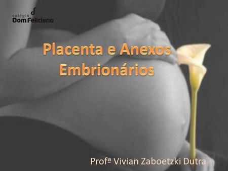 Placenta e Anexos Embrionários