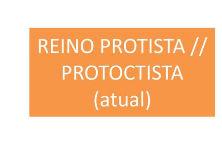 REINO PROTISTA // PROTOCTISTA (atual)