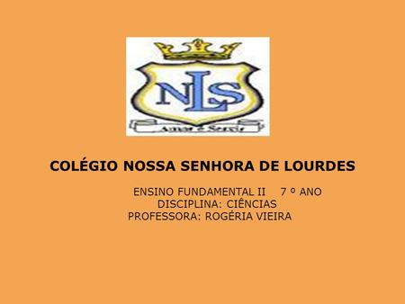 COLÉGIO NOSSA SENHORA DE LOURDES