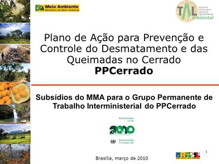 Plano de Ação para Prevenção e Controle do Desmatamento e das Queimadas no Cerrado PPCerrado Subsídios do MMA para o Grupo Permanente de Trabalho Interministerial.