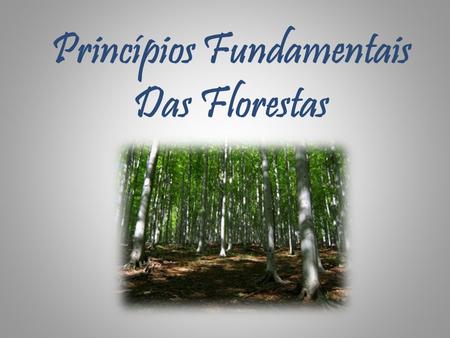 Princípios Fundamentais Das Florestas