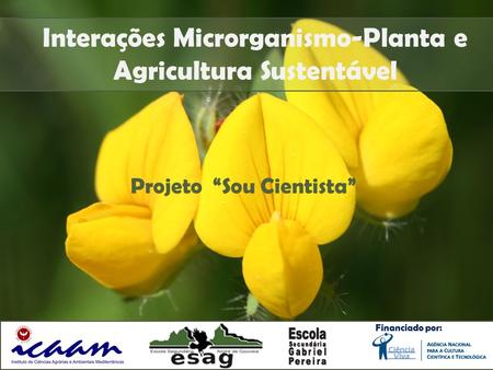 Interações Microrganismo-Planta e Agricultura Sustentável