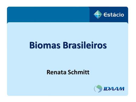 Biomas Brasileiros Renata Schmitt.
