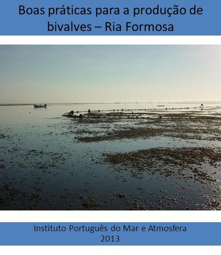 Boas práticas para a produção de bivalves – Ria Formosa