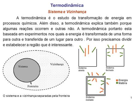 Termodinâmica Sistema e Vizinhança