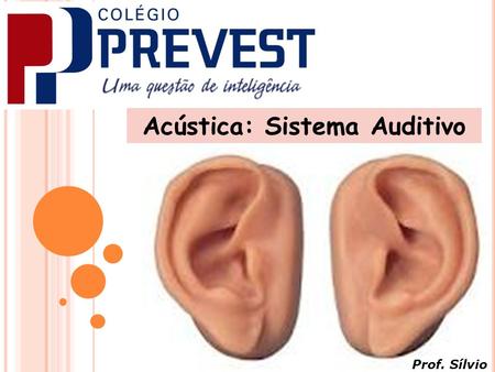 Acústica: Sistema Auditivo
