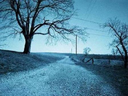 A vida é feita de caminhos caminhos que levam caminhos que trazem sonhos alegrias tristezas amores esperanças.