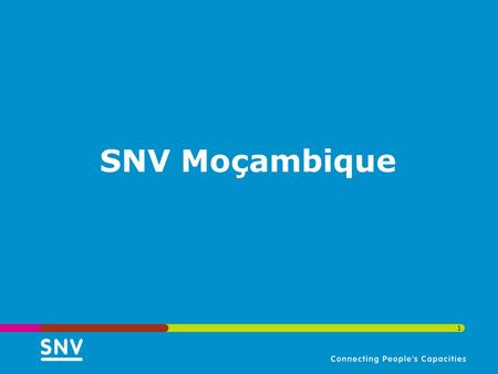 SNV Moçambique.