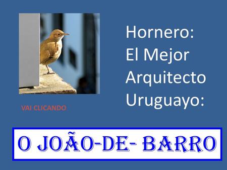 Hornero: El Mejor Arquitecto Uruguayo: VAI CLICANDO O joãO-de- barro.