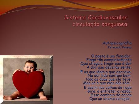 Sistema Cardiovascular circulação sanguínea