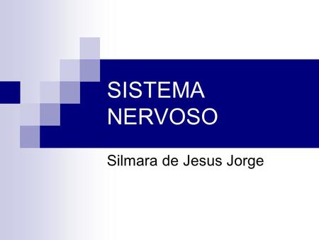 SISTEMA NERVOSO Silmara de Jesus Jorge.