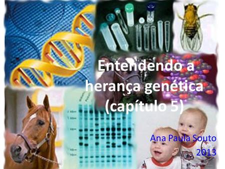 Entendendo a herança genética (capítulo 5)