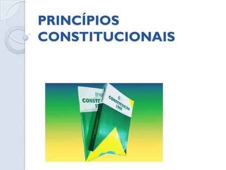 PRINCÍPIOS CONSTITUCIONAIS