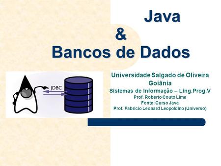 Java & Bancos de Dados Universidade Salgado de Oliveira Goiânia