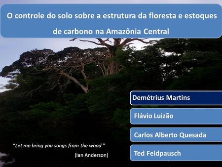 1 O controle do solo sobre a estrutura da floresta e estoques de carbono na Amazônia Central Demétrius Martins Flávio Luizão Carlos Alberto Quesada “Let.